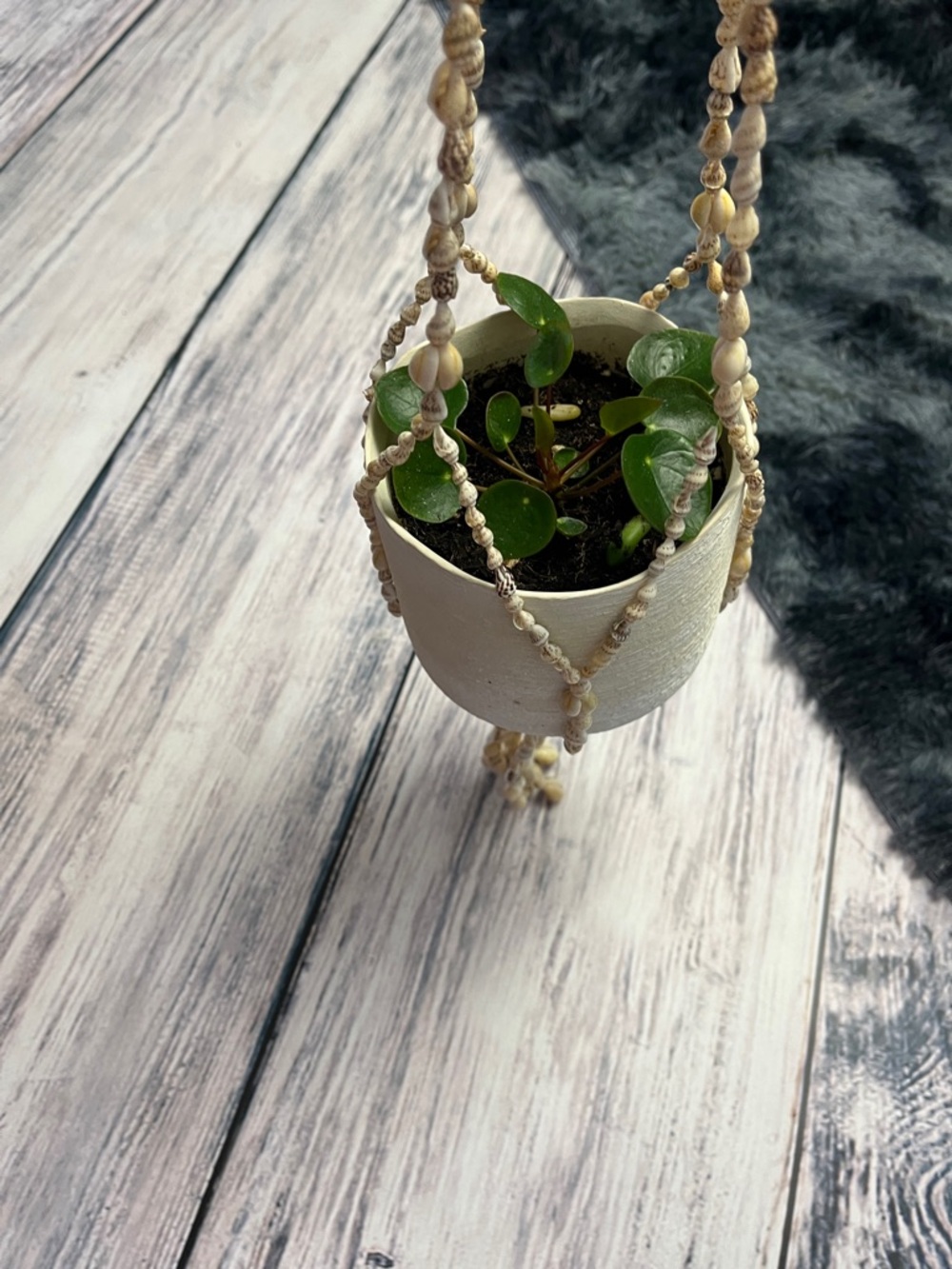 Handmade Shell Bead Plant Hanger (Plant/Planter not included)